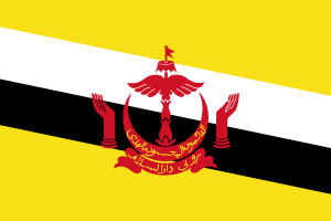 Flag_of_Brunei